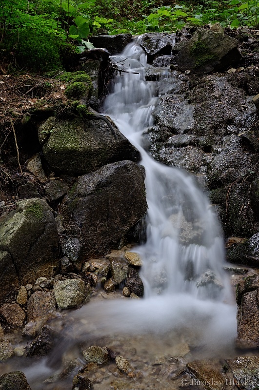 DSC_2010