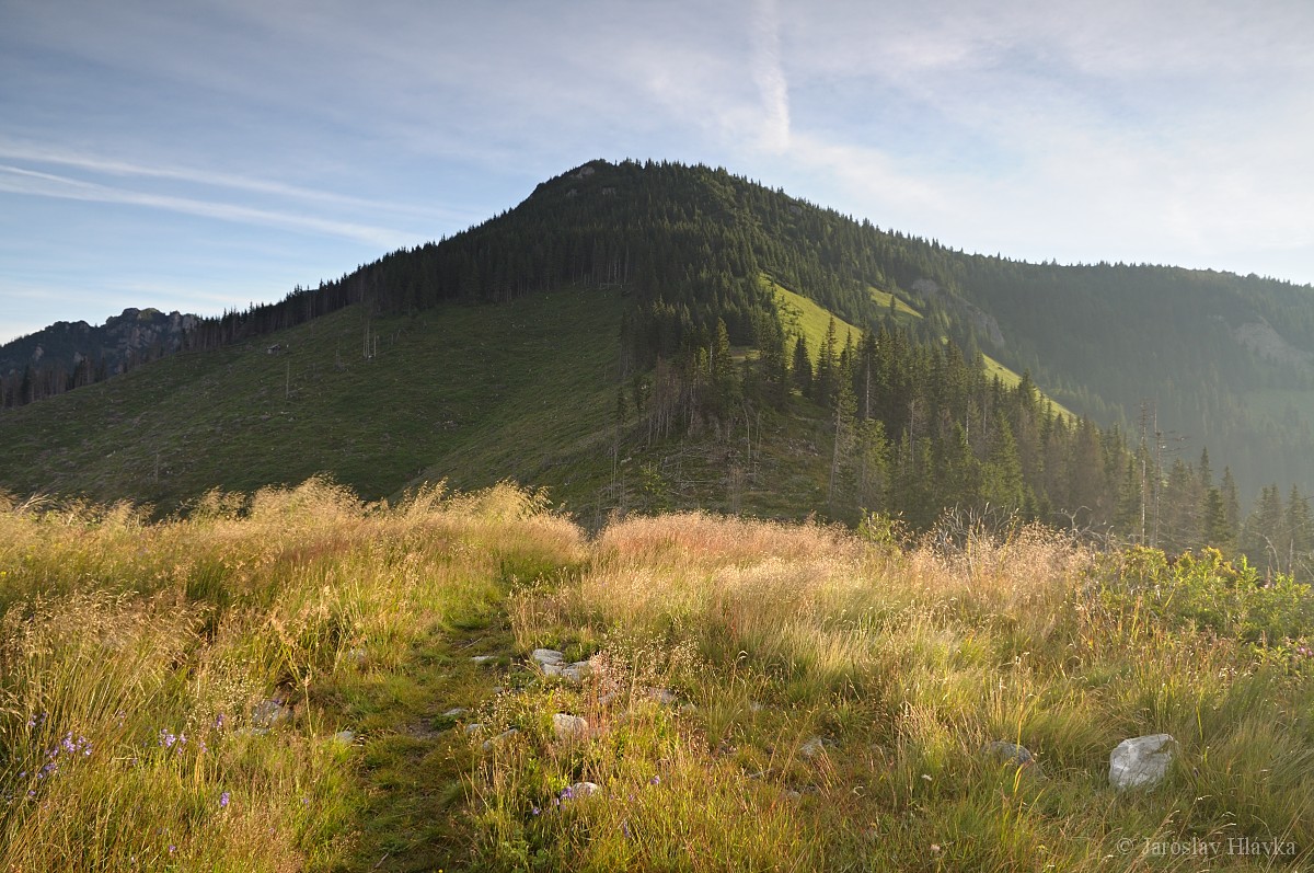 DSC_2607