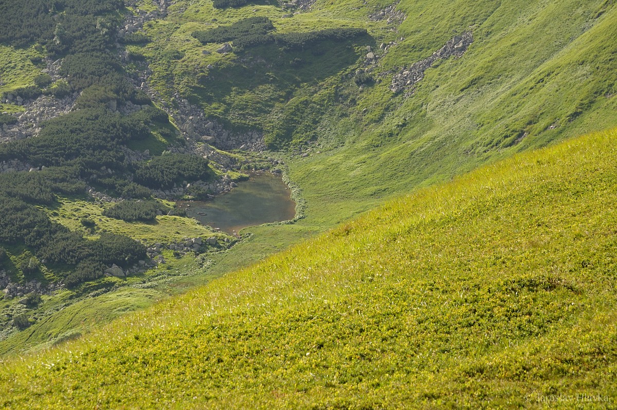 DSC_2699