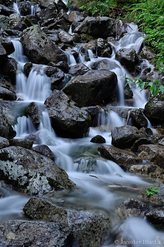 DSC_2139