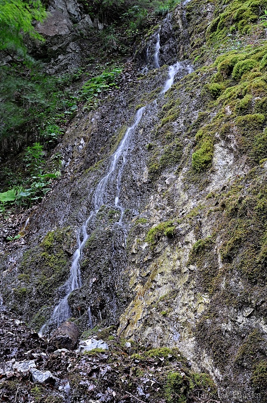 DSC_4839