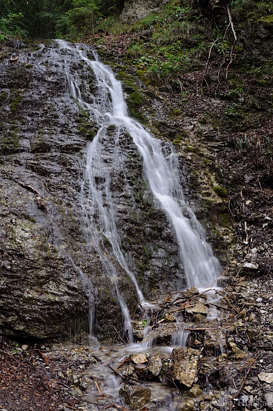 DSC_4860
