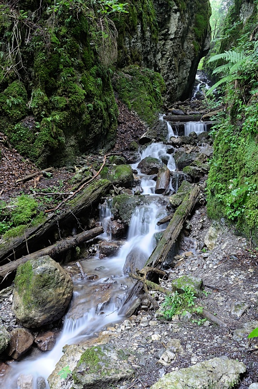 DSC_4893