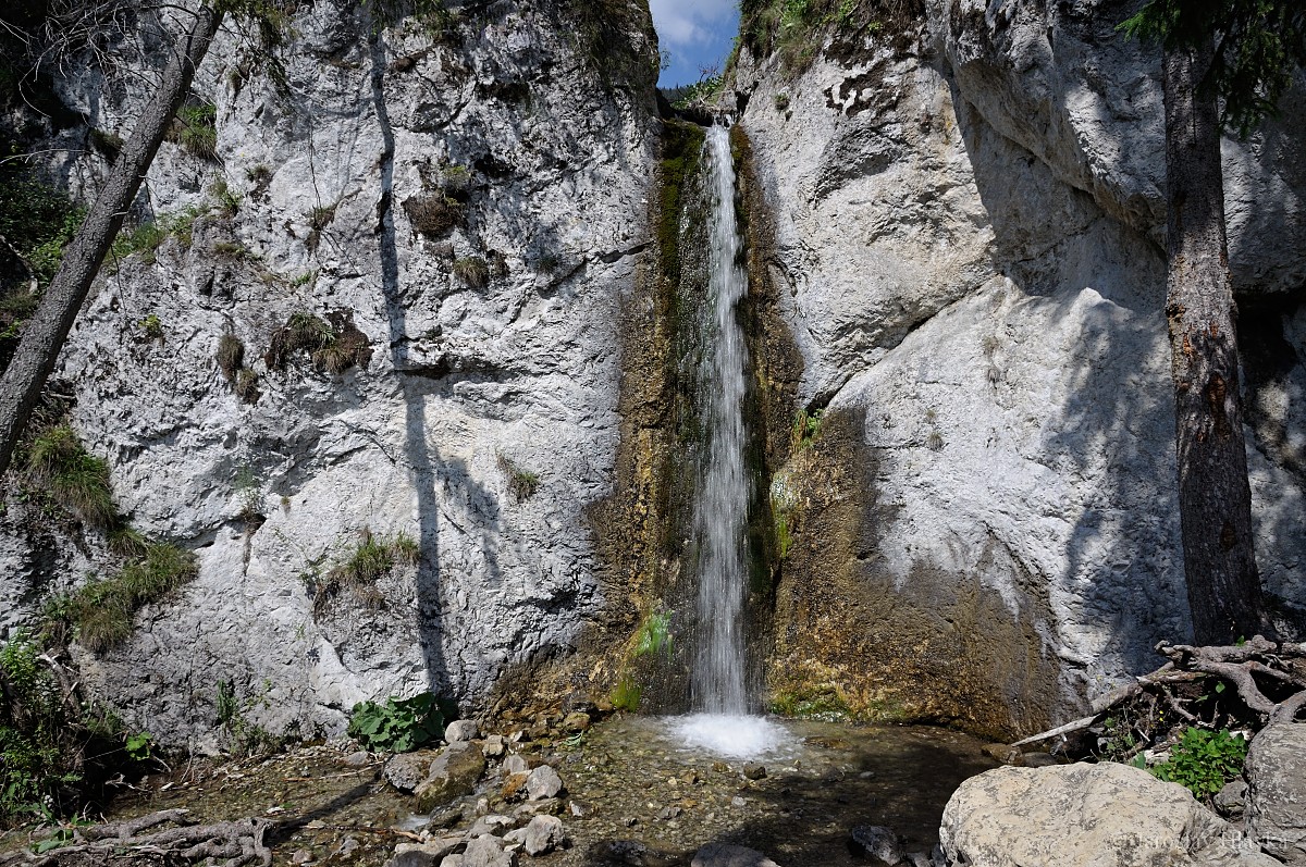 DSC_0631