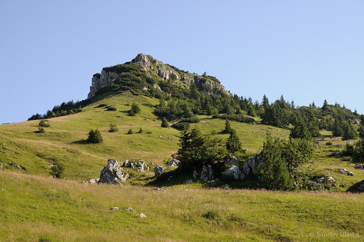 DSC_0769