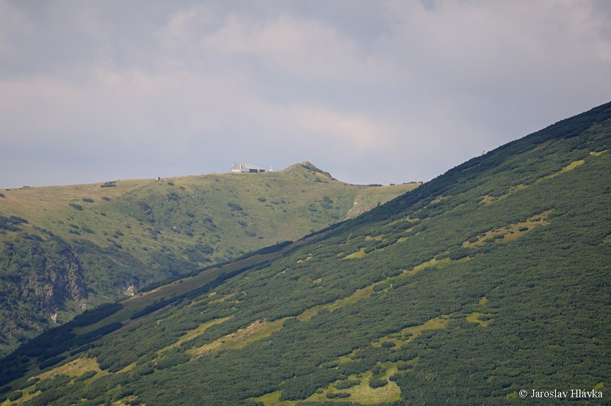 DSC_3806