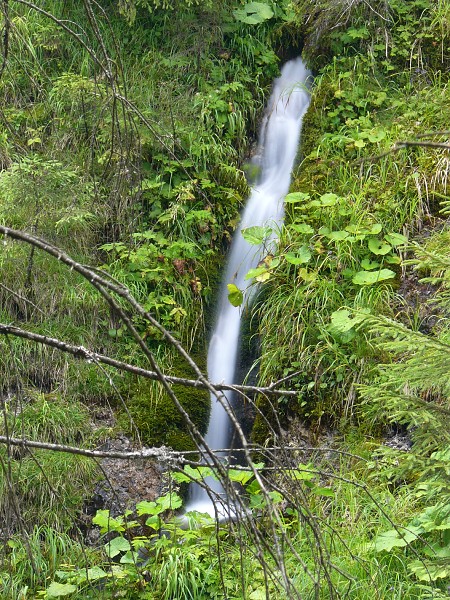 P1100826