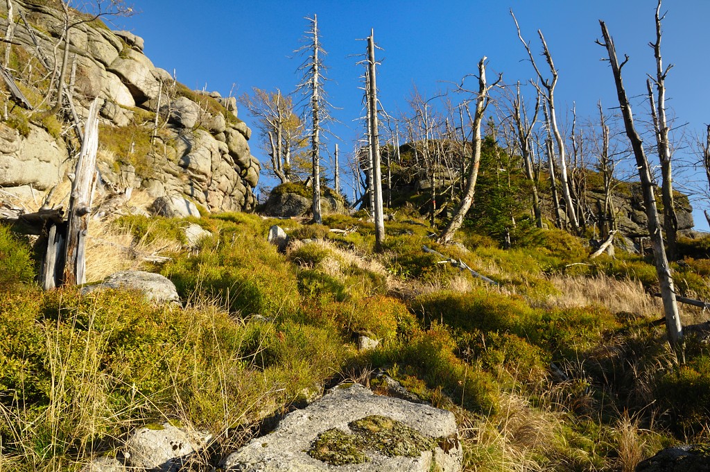 DSC_3228