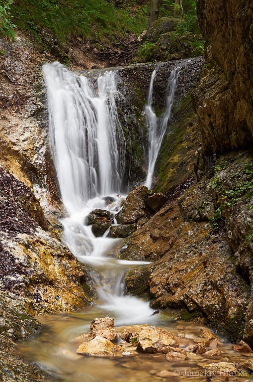 DSC_8612