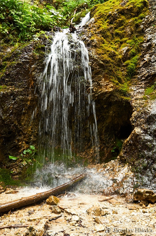 DSC_8634
