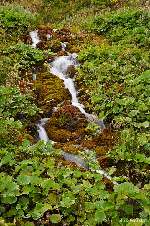 DSC_8834