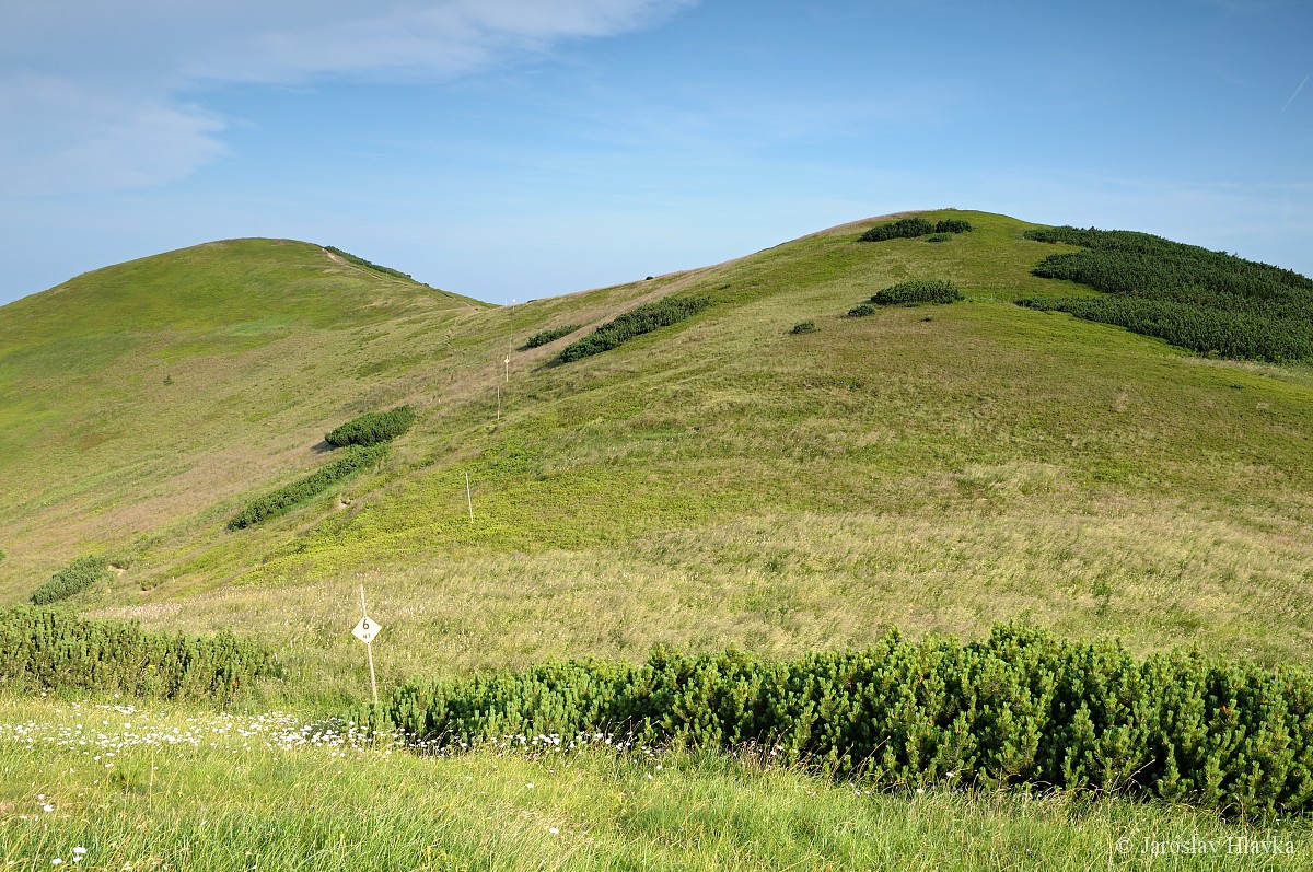 DSC_0407
