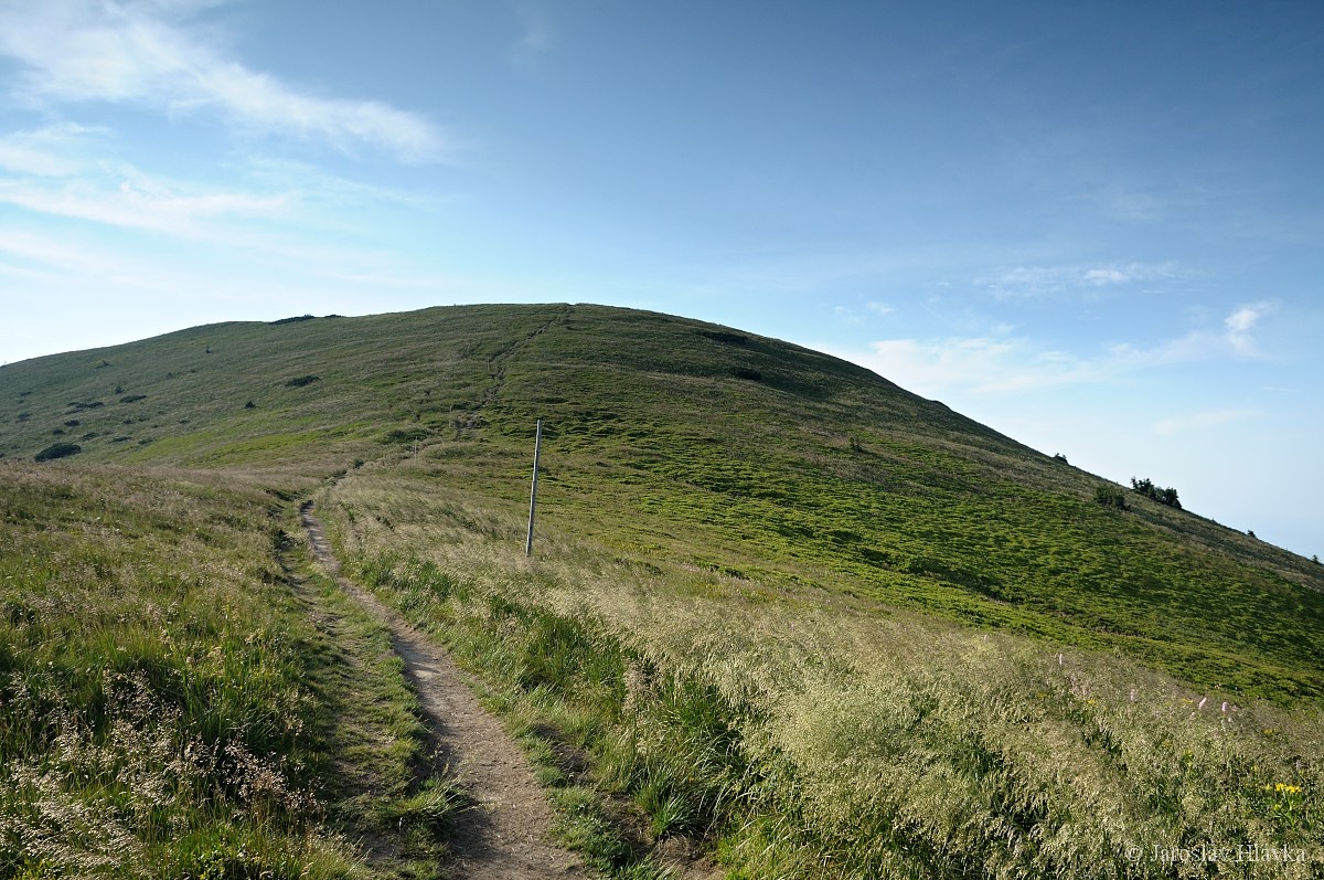 DSC_0416