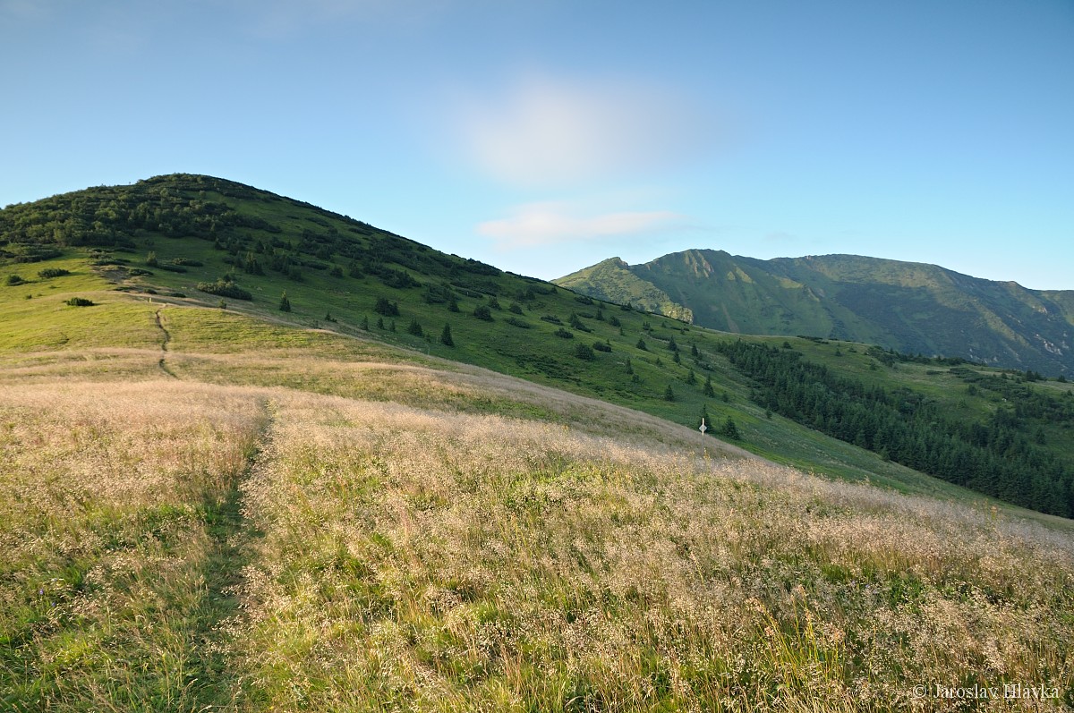 DSC_0500