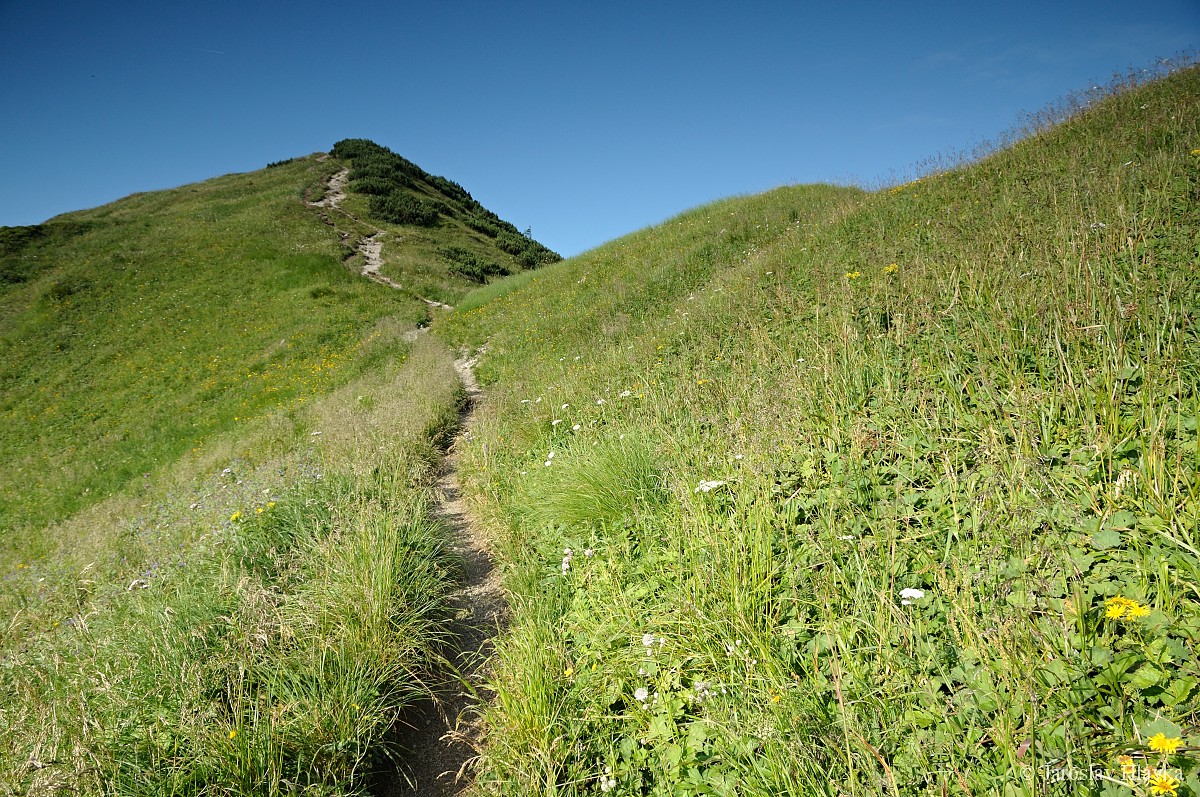 DSC_0577