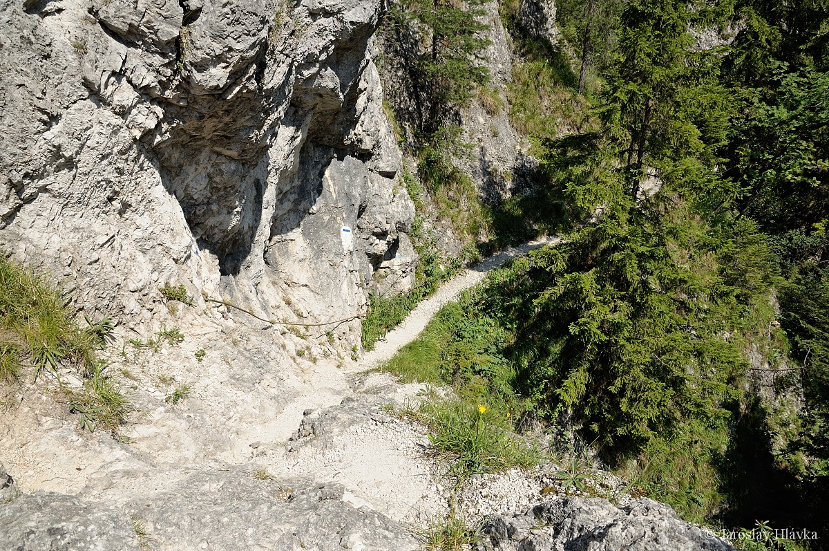 DSC_0688