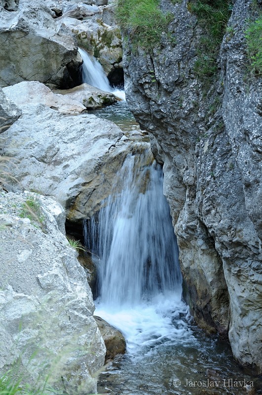 DSC_0824