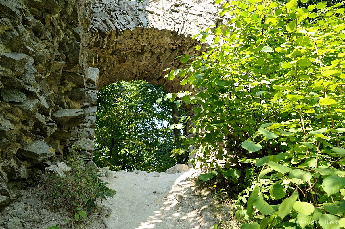 DSC_0839