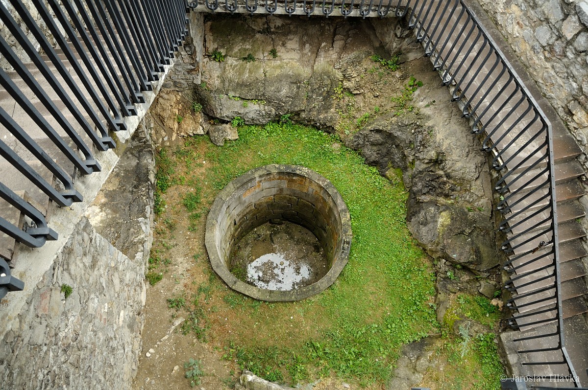 DSC_0950