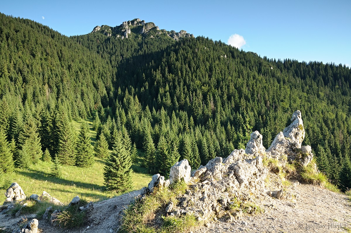 DSC_1150